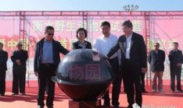 武邑爆料最新新闻事件,惊曝重大事件引发社会关注